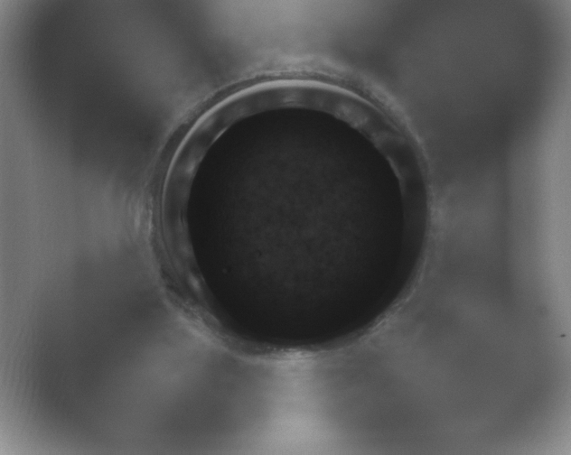 X0000054730059200508171902.png