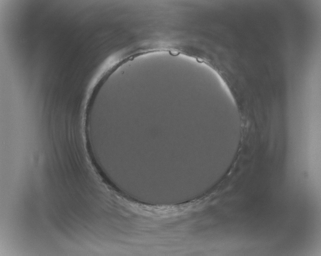 X0000054350006200508190140.png