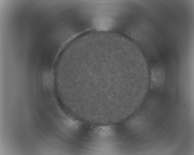 X0000053460492200508112201.png