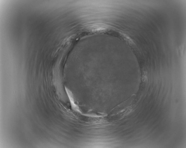 X0000054351108200508190121.png