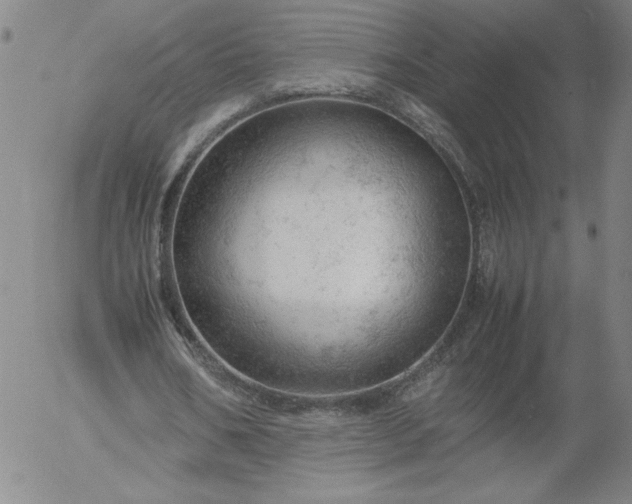 X0000054650578200508091644.png