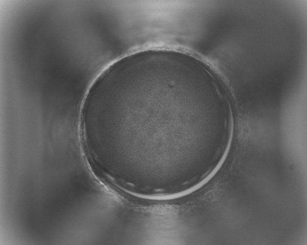 X0000052151331200507051941.png