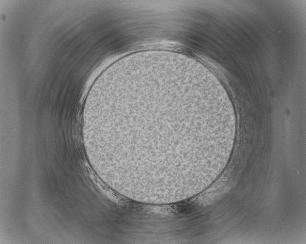 X0000054580816200508300059.png