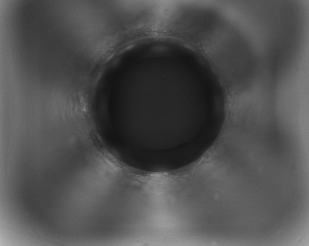 X0000054730239200508171900.png