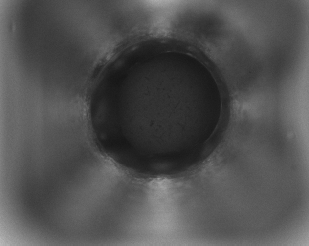 X0000054730379200508171858.png