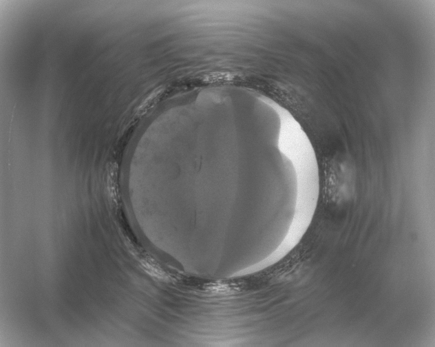X0000054350616200508190130.png