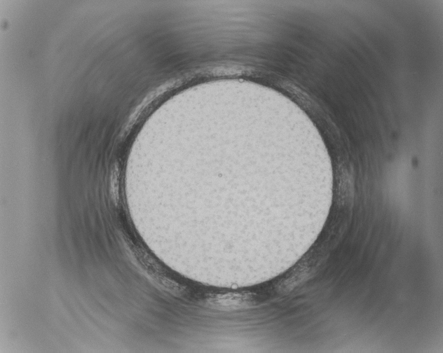 X0000054580064200508300111.png