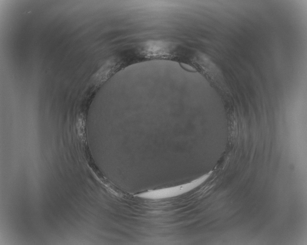 X0000054350281200508190136.png