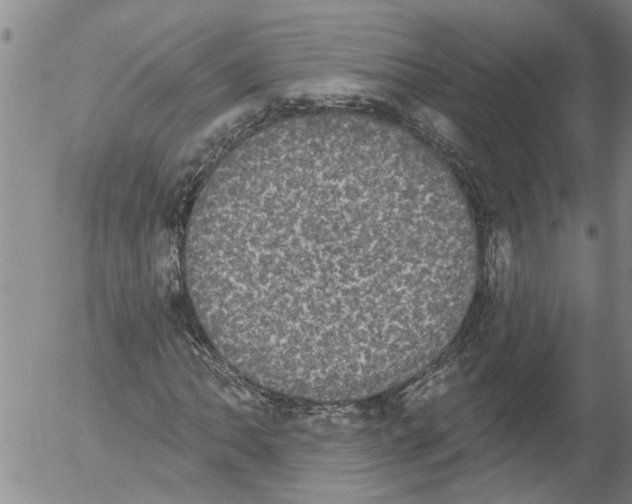 X0000054581062200508300055.png