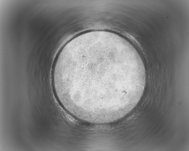 X0000054271183200508261908.png