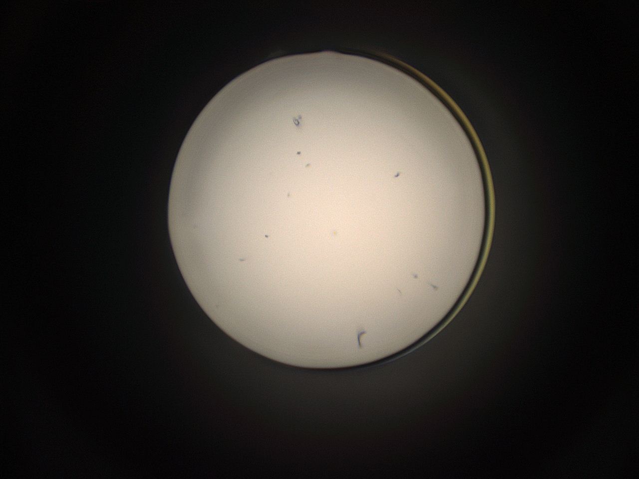 05g4_M12_ImagerDefaults_1.jpg