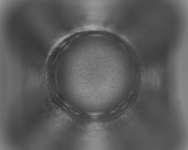 X0000052281358200507132017.png
