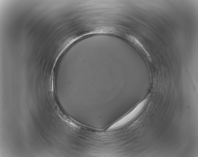 X0000054351276200508190119.png