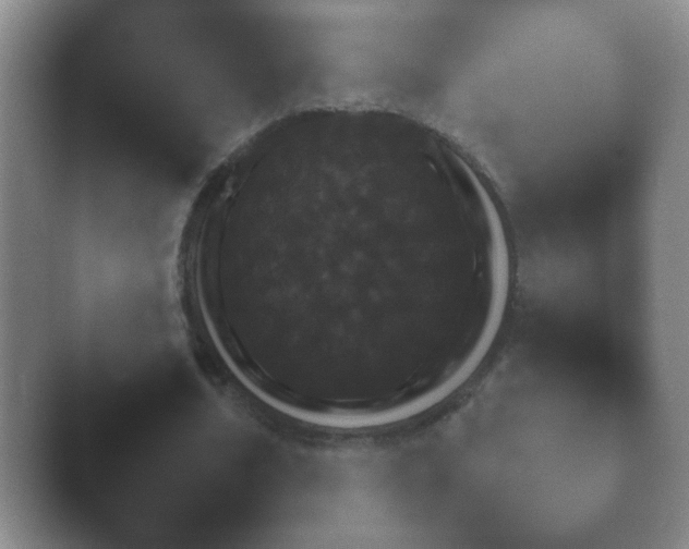 X0000040660674200411092012.png