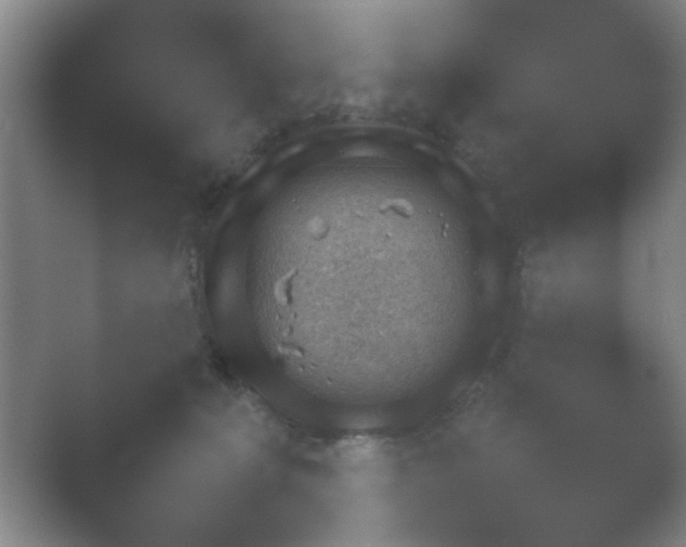 X0000054110225200508022107.png