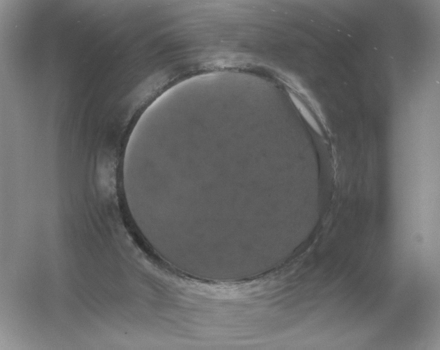 X0000054350010200508190140.png