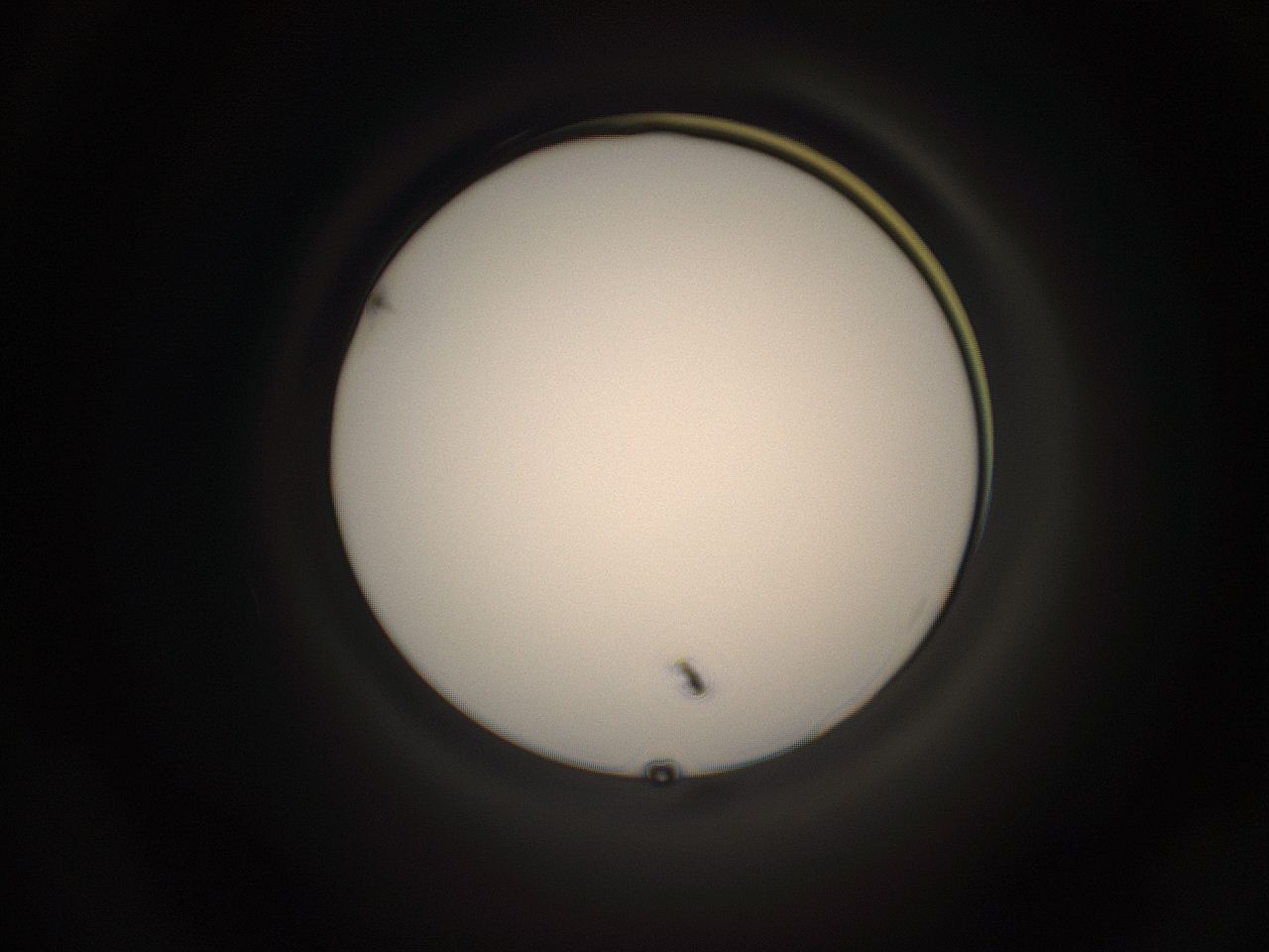 05g4_M20_ImagerDefaults_1.jpg