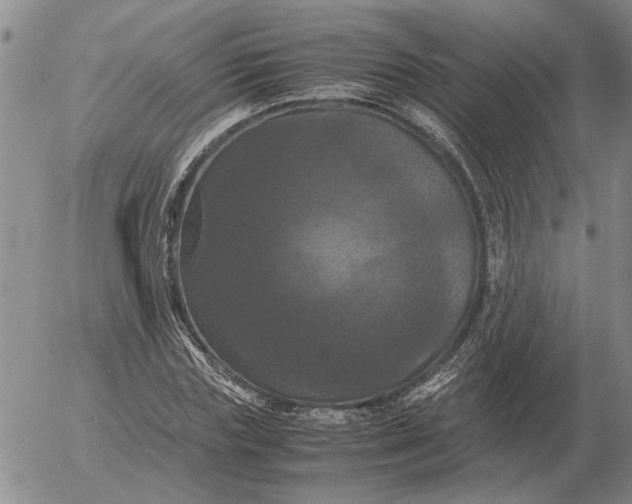 X0000054170827200508101757.png