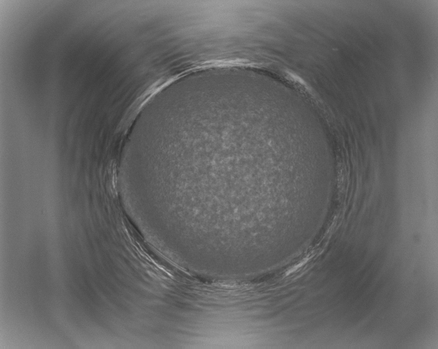 X0000055061361200508161635.png