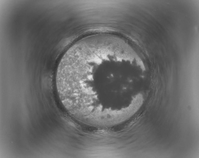 X0000054350111200508190138.png