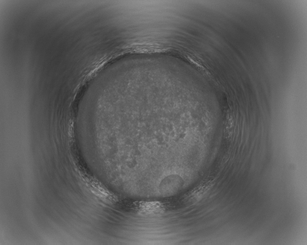 X0000055210355200508301328.png