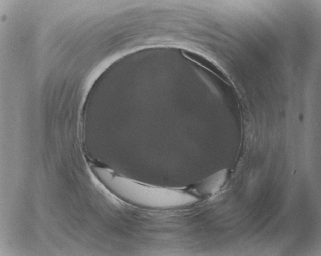 X0000054171527200508101747.png