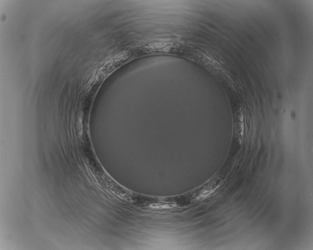 X0000054170504200508101803.png