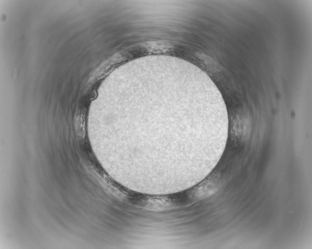 X0000054230666200508171513.png