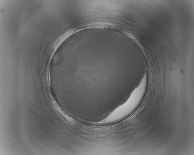 X0000054171083200508101753.png