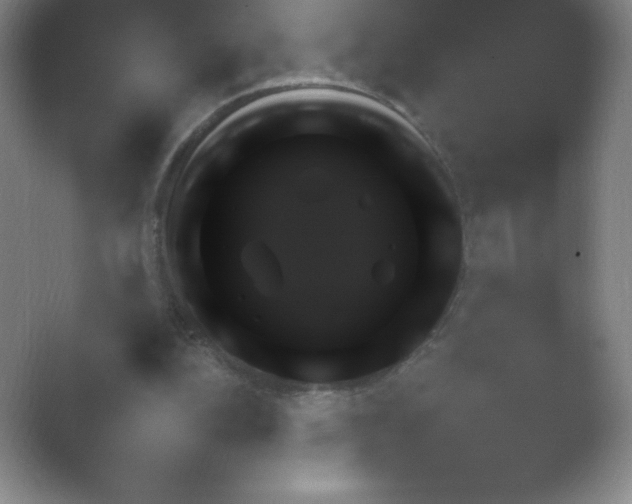 X0000054730152200508171901.png