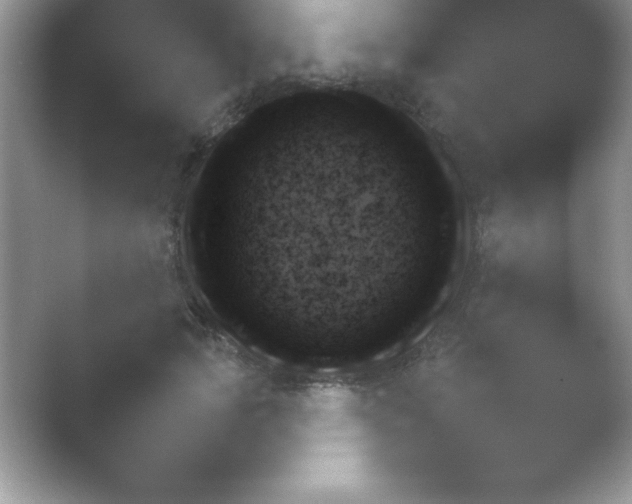 X0000054730749200508171851.png