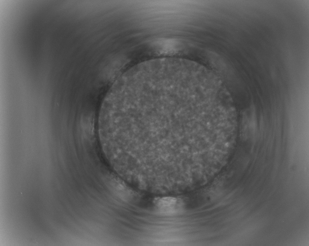 X0000053460230200508112205.png