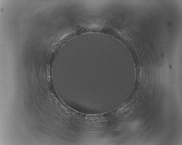 X0000054171301200508101749.png