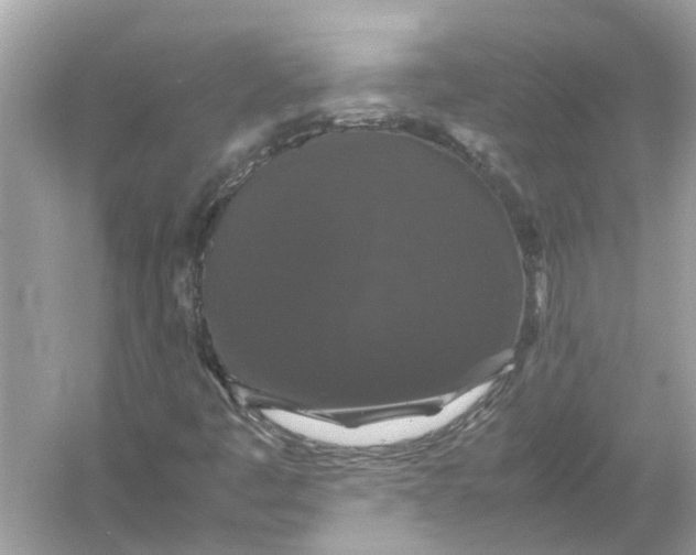 X0000054351445200508190116.png