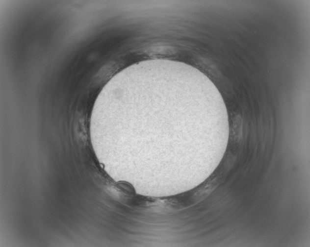 X0000054270430200508261921.png