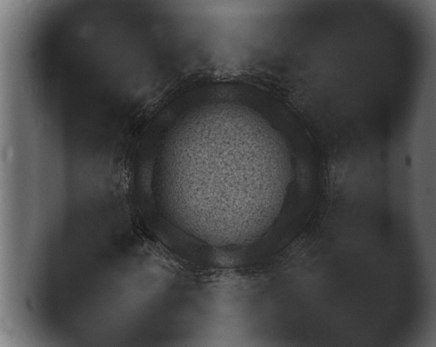 X0000043161250200411300935.png