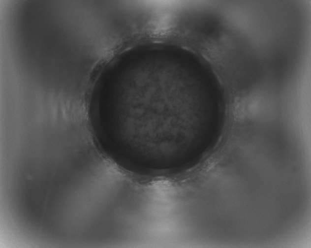 X0000054730377200508171858.png