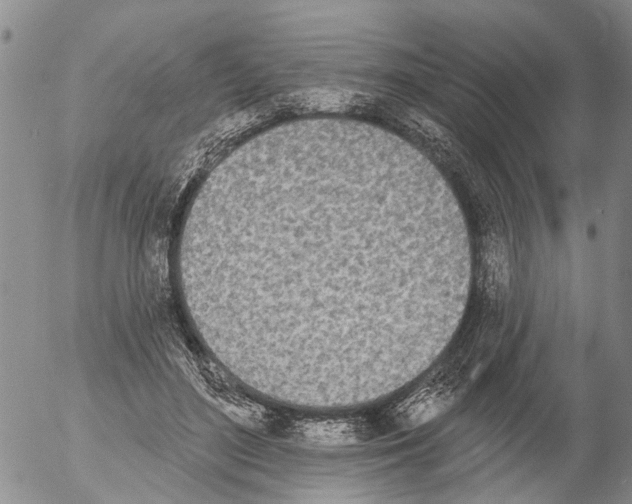 X0000054580500200508300104.png