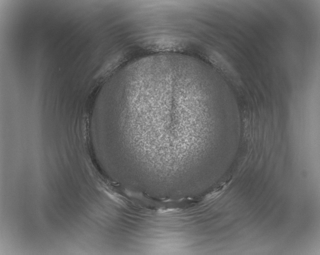 X0000054300165200508042319.png