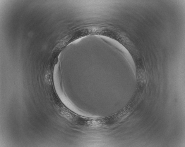 X0000054350419200508190133.png