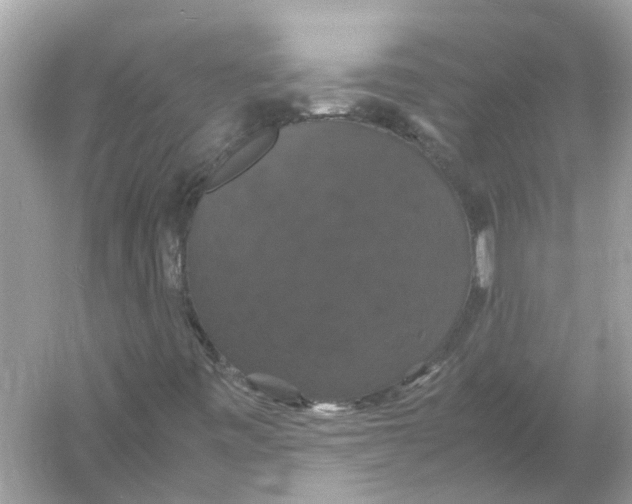 X0000054351443200508190116.png