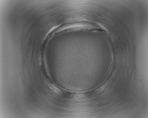 X0000054301306200508042259.png