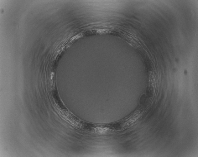 X0000054170650200508101801.png