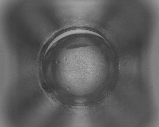 X0000052280436200507132033.png