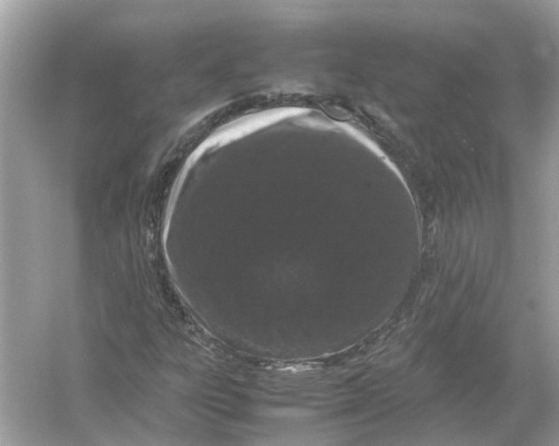 X0000054351303200508190118.png