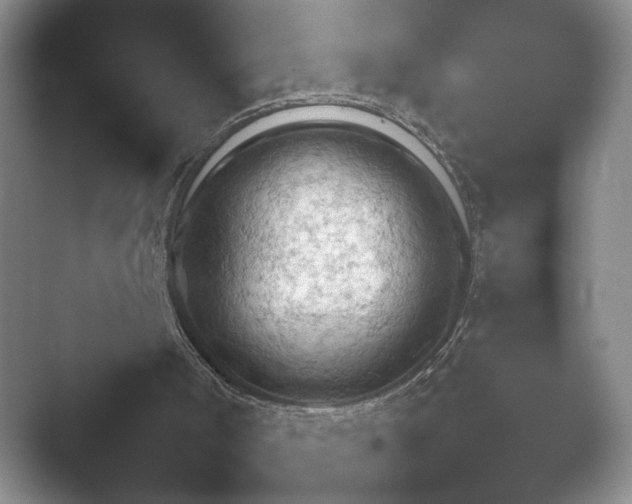 X0000052450002200507211326.png