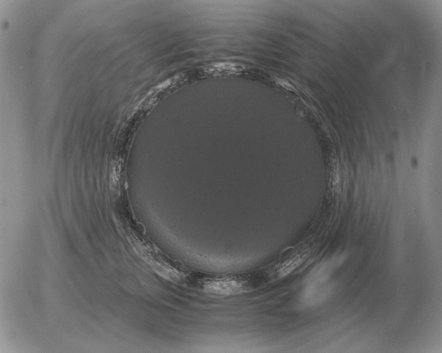 X0000054170759200508101759.png