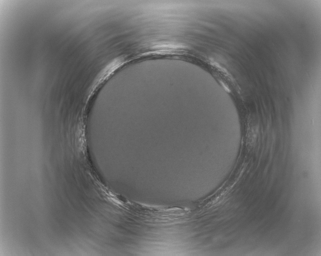 X0000054351362200508190117.png