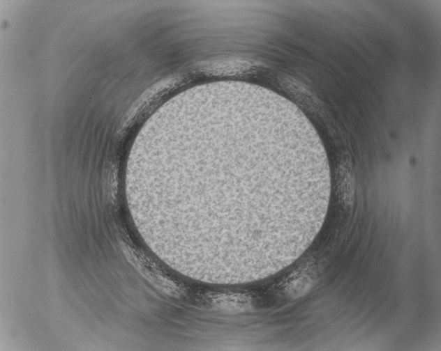 X0000054580400200508300106.png