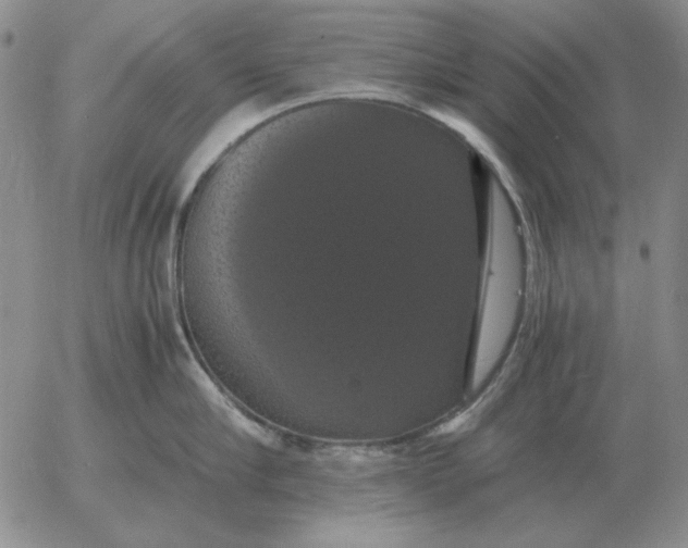 X0000054170910200508101756.png